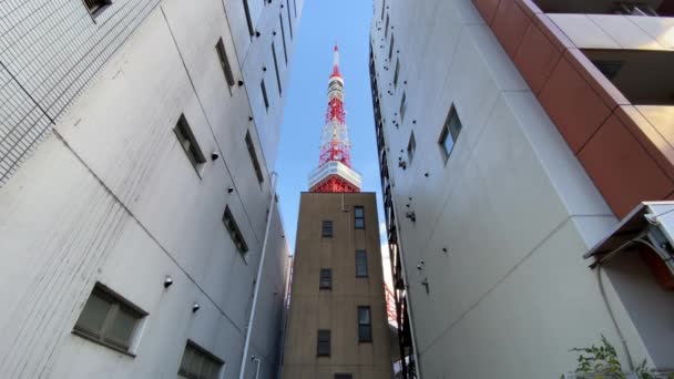 Tokyo Tower Japonii Krajobraz — Wideo stockowe