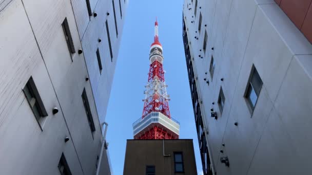 Tokyo Tower Japan Landschaft — Stockvideo