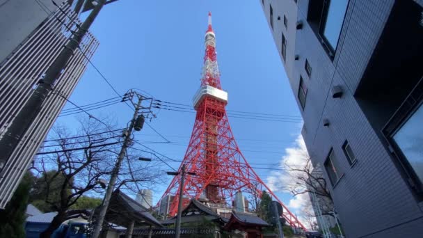 Tokyo Tower Japan — Αρχείο Βίντεο