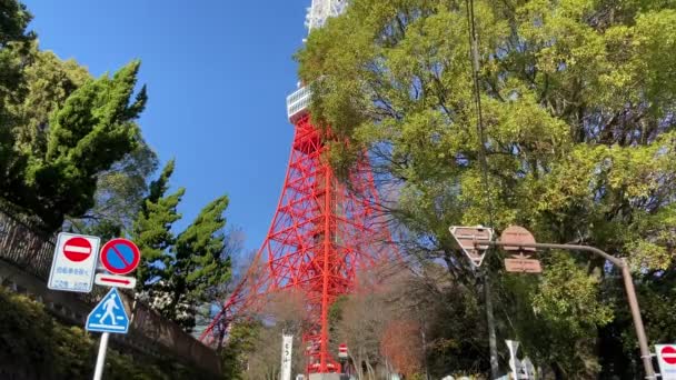 Tokyo Tower Japan Landskap — Stockvideo