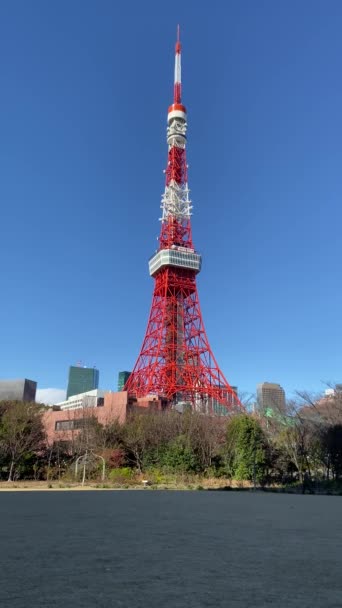 Tokyo Tower Japan Landschaft — Stockvideo