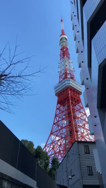 Torre Tóquio Japão Paisagem — Vídeo de Stock