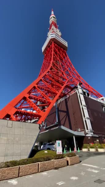 Tokyo Tower Japan Landscape — стокове відео