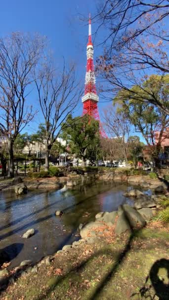 Tokyo Tower Japan Landscape — стокове відео