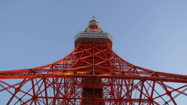Tokyo Tower Jepang Landscape — Stok Video