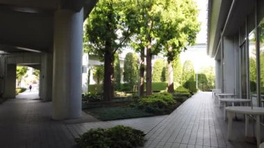 Tokyo büyük manzara, video klibi