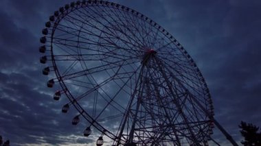 Kasai Rinkai Parkı, video klibi