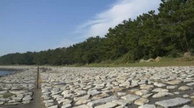 Kasai Rinkai Parkı, video klibi