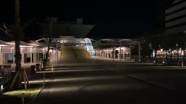 Tokyo Big Sight Night View — Stock Video