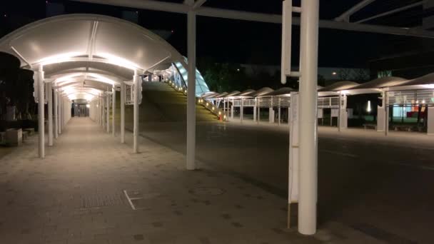 Tokyo Big Sight Night View — Stock Video