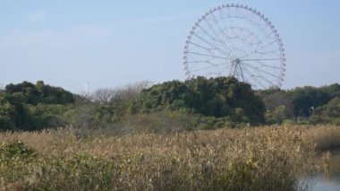 Kasai Rinkai Parkı, video klibi