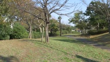 Kasai Rinkai Parkı, video klibi