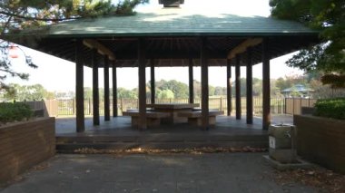 Kasai Rinkai Parkı, video klibi