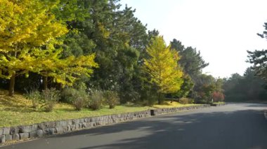 Kasai Rinkai Parkı, video klibi