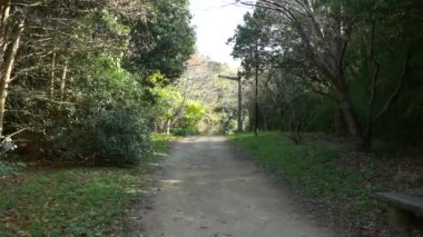 Kasai Rinkai Parkı, video klibi