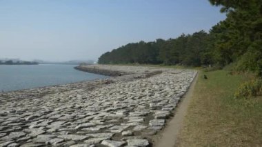 Kasai Rinkai Parkı, video klibi