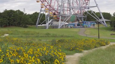 Kasai Rinkai Parkı, video klibi
