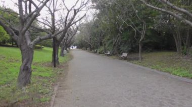 Kasai Rinkai Parkı, video klibi