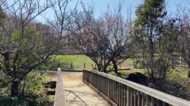 Kasai Rinkai Parkı, video klibi