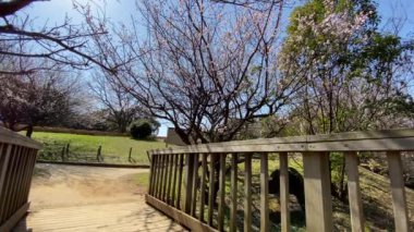 Kasai Rinkai Parkı, video klibi