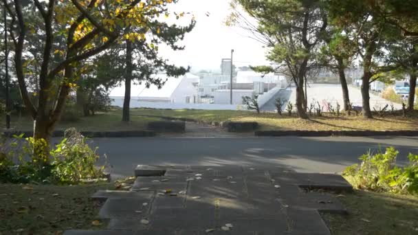 Kasai Rinkai Parkı Video Klibi — Stok video