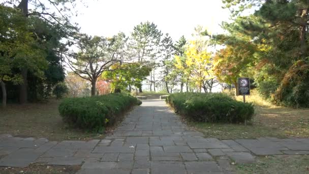 Kasai Rinkai Park Video Clip — Stockvideo