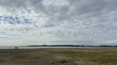 Kasai Rinkai Parkı, video klibi