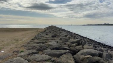 Kasai Rinkai Parkı, video klibi