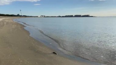 Kasai Rinkai Parkı, video klibi