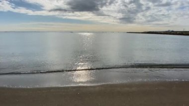 Kasai Rinkai Parkı, video klibi