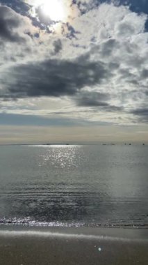 Kasai Rinkai Parkı, video klibi