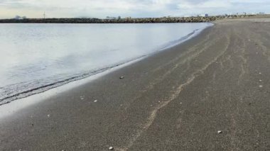 Kasai Rinkai Parkı, video klibi