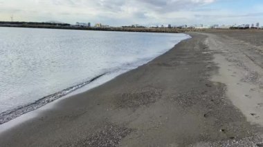 Kasai Rinkai Parkı, video klibi