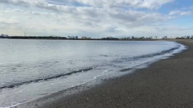 Kasai Rinkai Parkı, video klibi