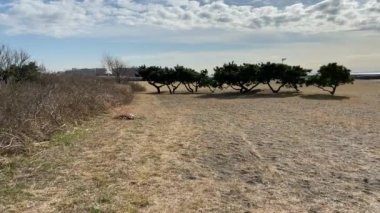 Kasai Rinkai Parkı, video klibi