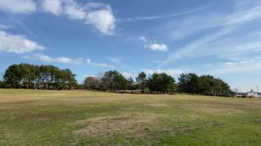 Kasai Rinkai Parkı, video klibi