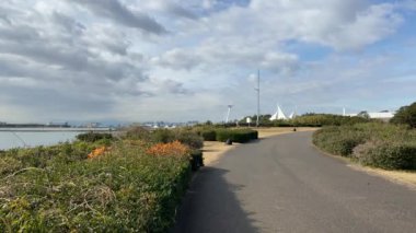 Kasai Rinkai Parkı, video klibi