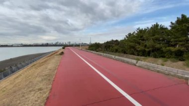 Kasai Rinkai Parkı, video klibi