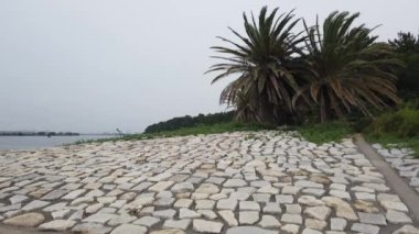 Kasai Rinkai Parkı, video klibi