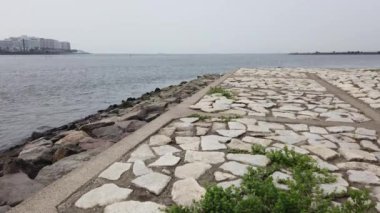 Kasai Rinkai Parkı, video klibi