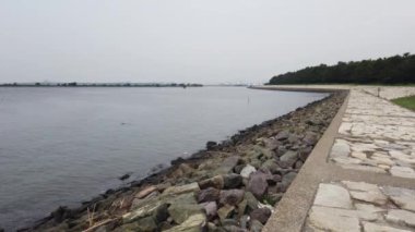 Kasai Rinkai Parkı, video klibi