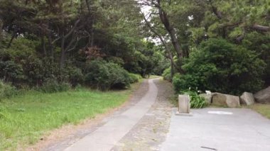 Kasai Rinkai Parkı, video klibi