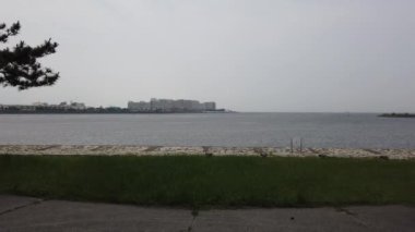 Kasai Rinkai Parkı, video klibi