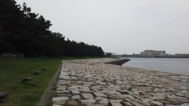 Kasai Rinkai Parkı, video klibi