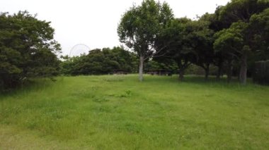 Kasai Rinkai Parkı, video klibi