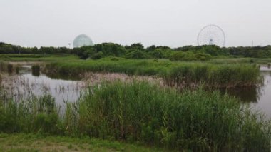 Kasai Rinkai Parkı, video klibi