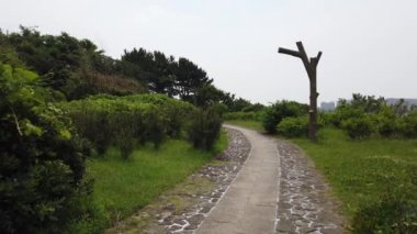 Kasai Rinkai Parkı, video klibi