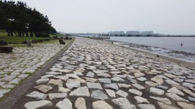 Kasai Rinkai Parkı, video klibi