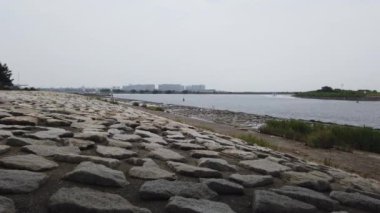 Kasai Rinkai Parkı, video klibi