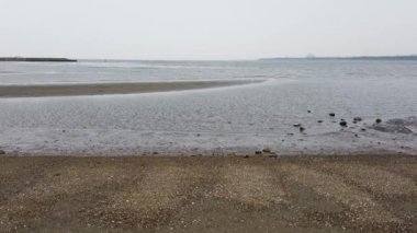 Kasai Rinkai Parkı, video klibi